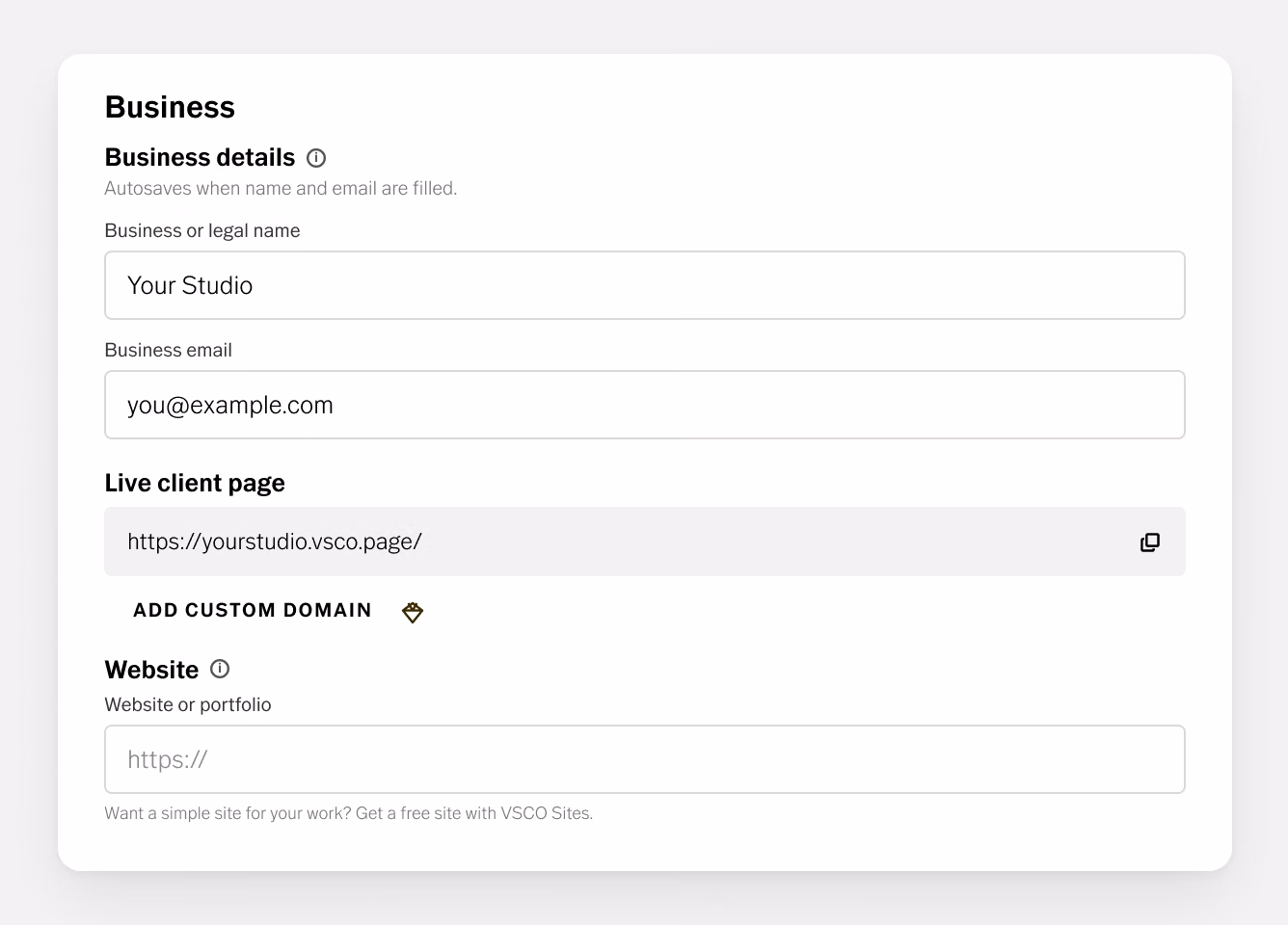 Configurações de Negócio do VSCO Workspace com campos para nome e e-mail da empresa, URL publicada da página do cliente e site