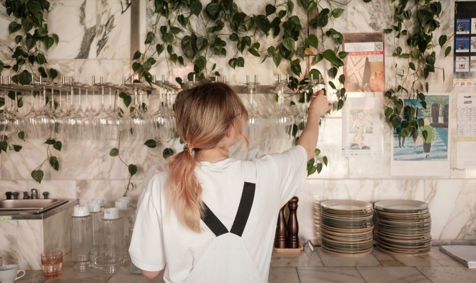 What is an EHO Inspection