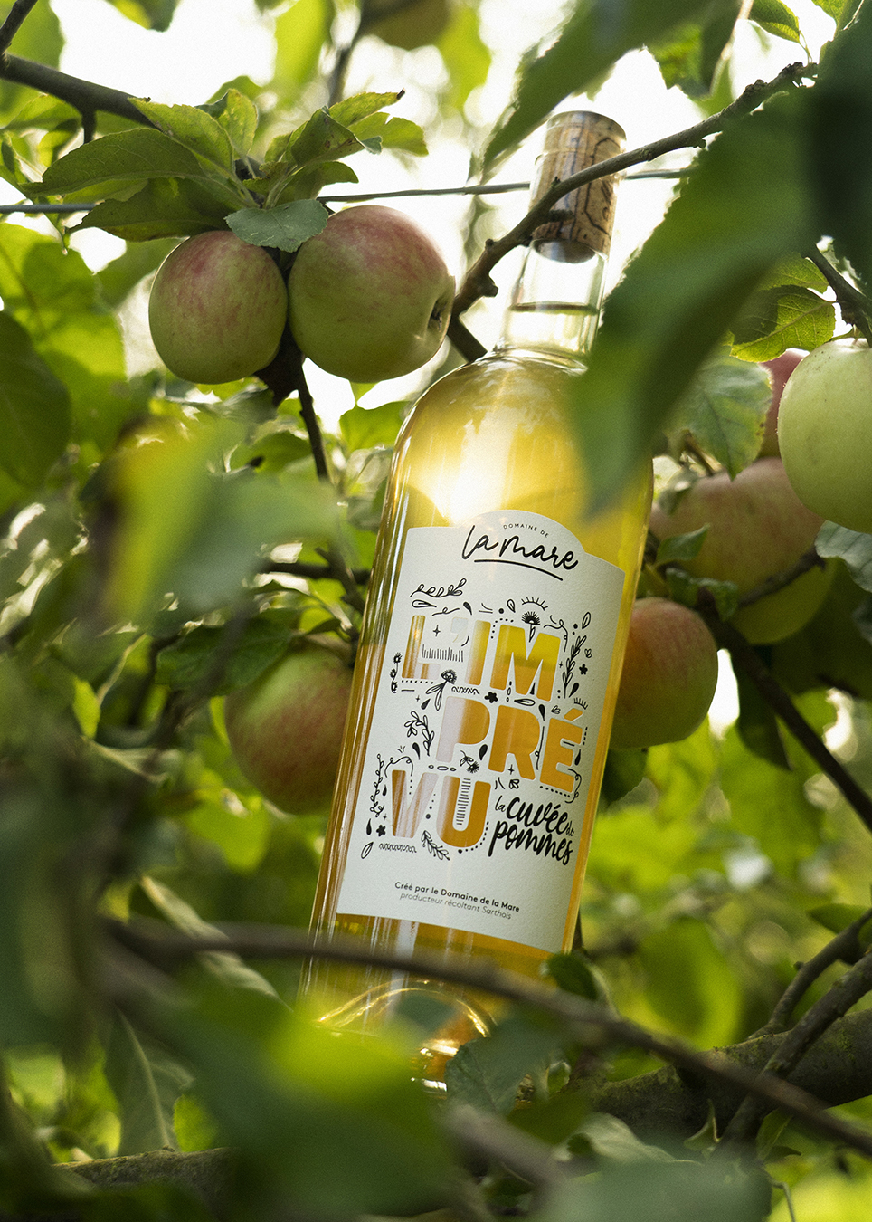 Design graphique et création packaging
