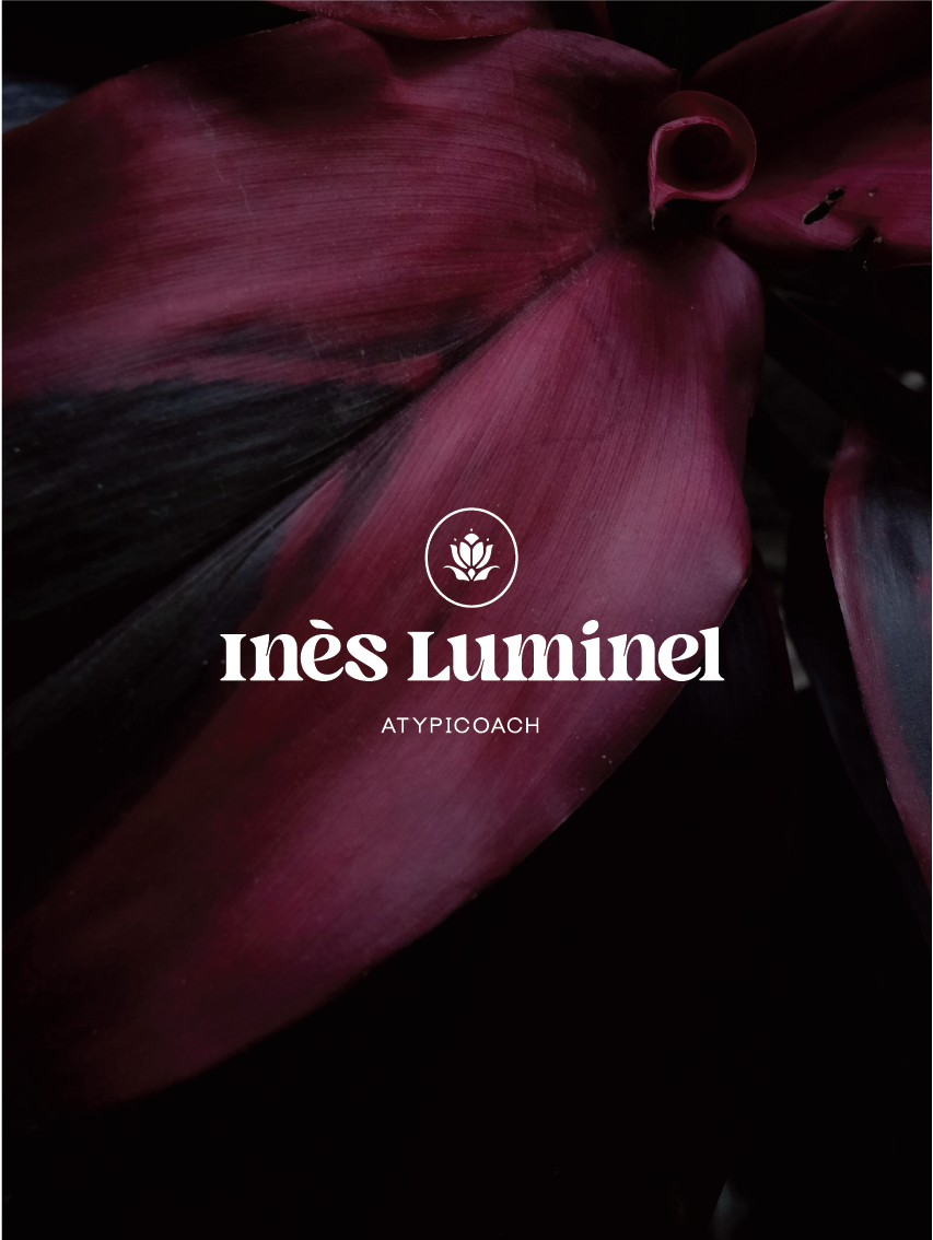 design packaging chocolatier