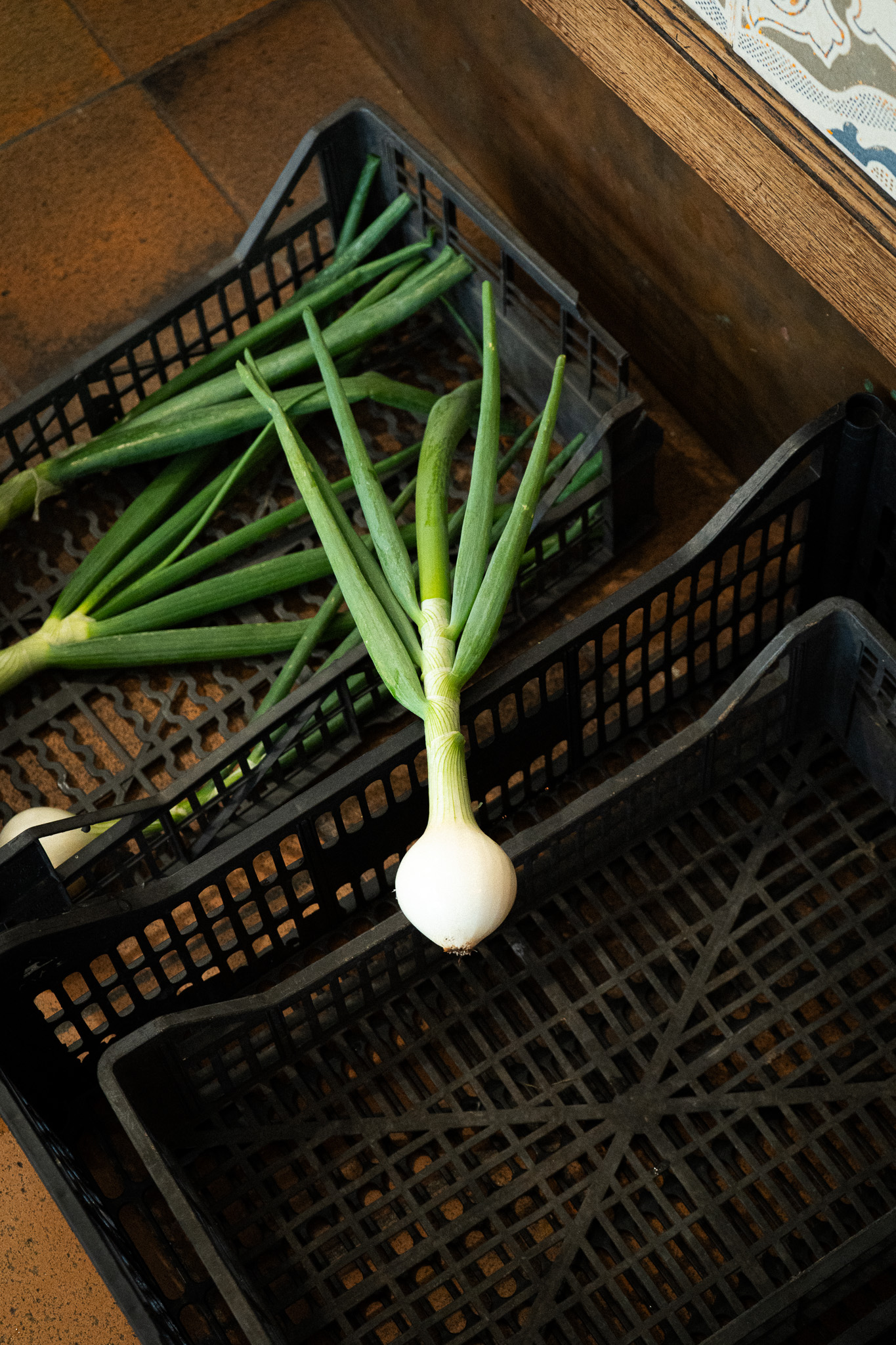 design packaging chocolatier