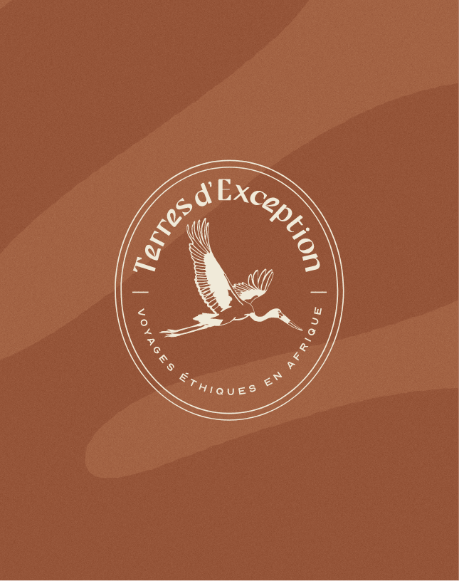 Identité visuelle premium
