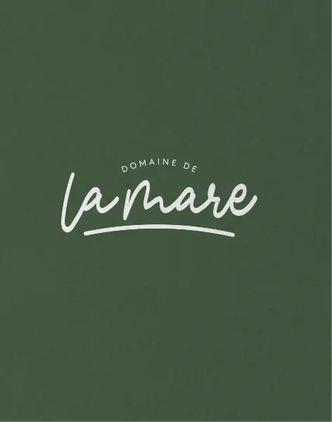 graphiste création logo le mans