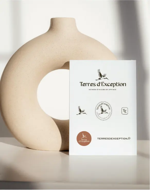 offre création branding sur-mesure