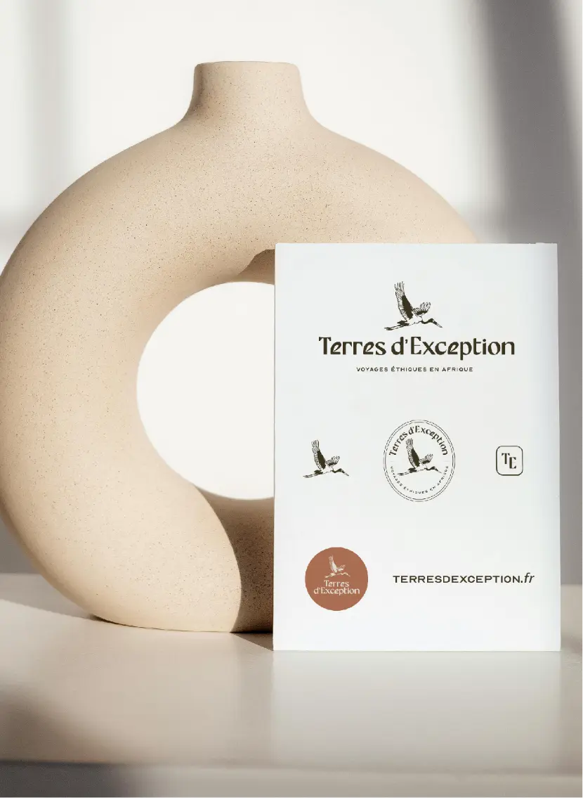design packaging chocolatier