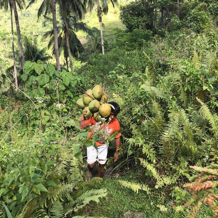 Rebel Kitchen Carbon Neutral