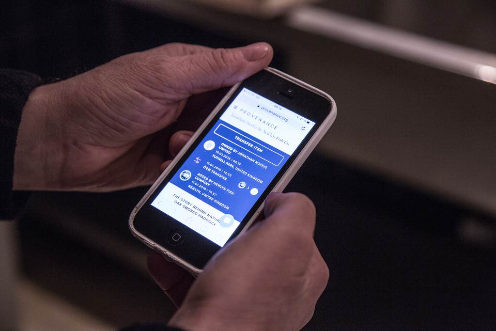 Using Provenance on a mobile