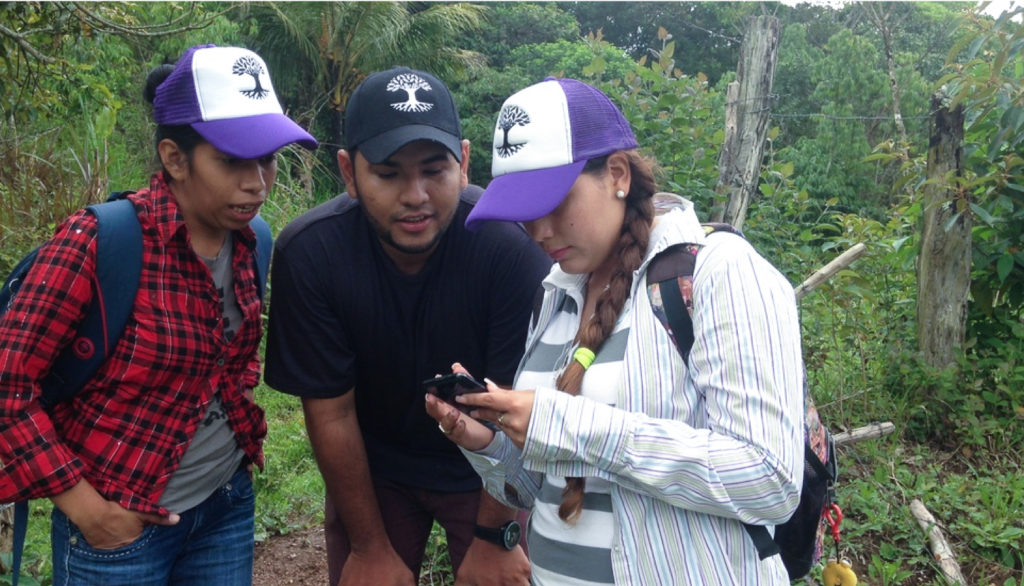 Agtech transparency with FarmTrace and Provenance