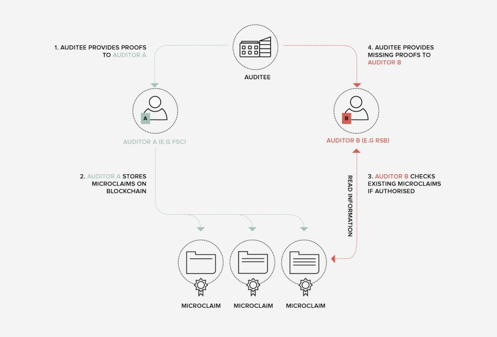 How blockchain can increase efficiency of audit with microclaims