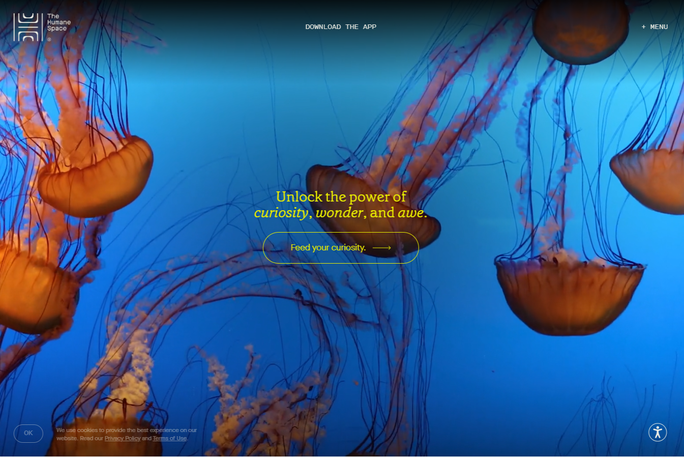 site profile thumbnail