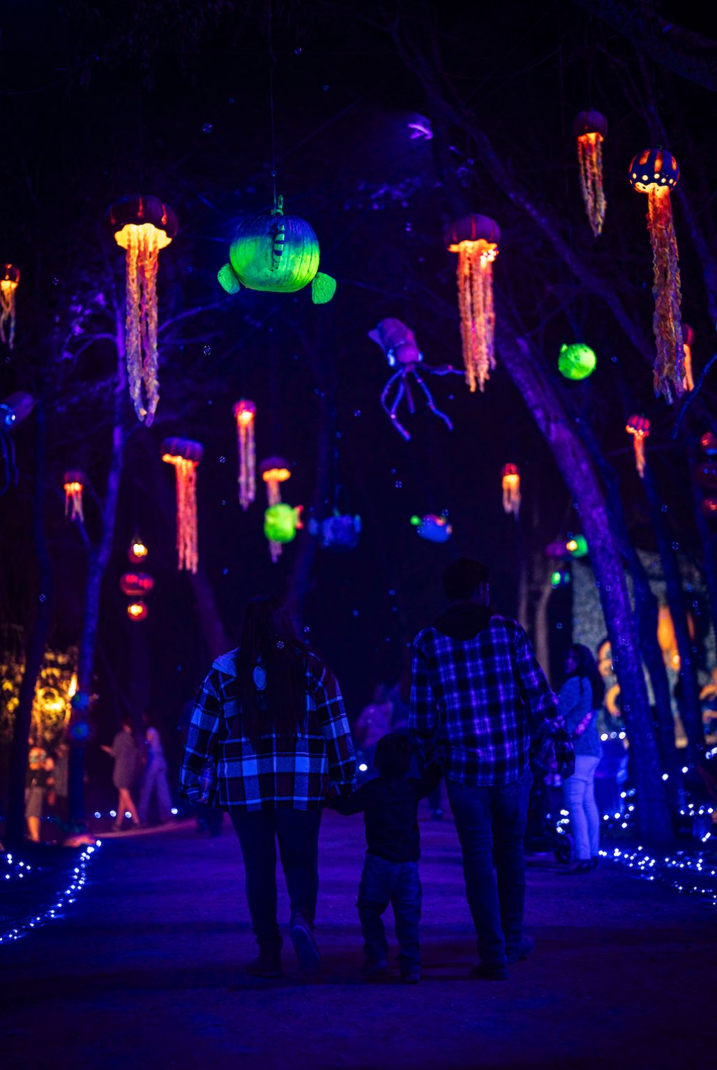 Pumpkin Nights 3