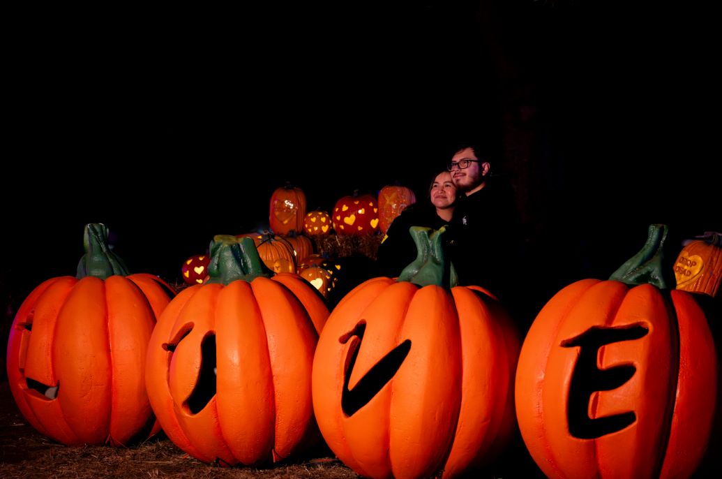 Pumpkin Nights 16