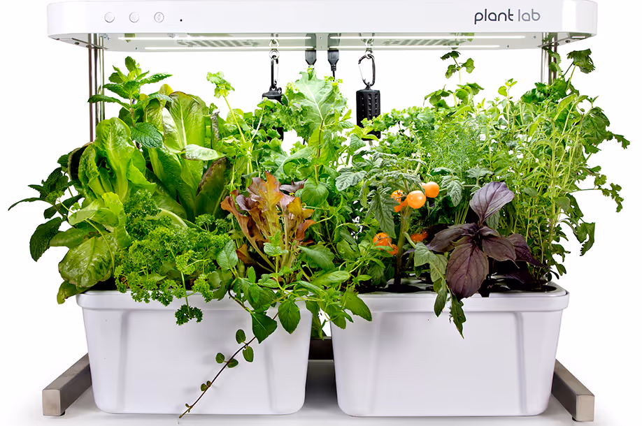 Plant Lab