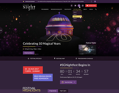 Singapore night festival thumbnail