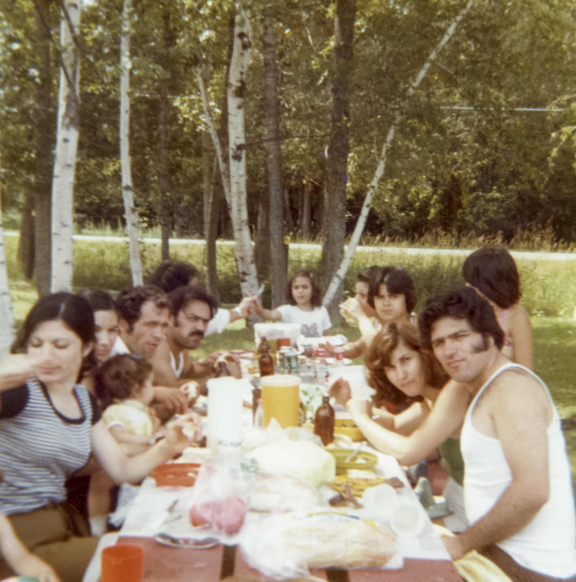 Helen's parents, aunts, uncles, and cousins having a picnic in Canada, 1978
