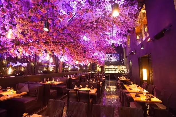 Interior of Tattu with cherry blossom ceiling