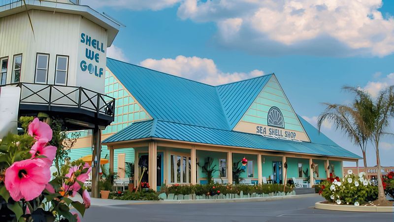 Delaware Shellz Sea Shell Shop | Home