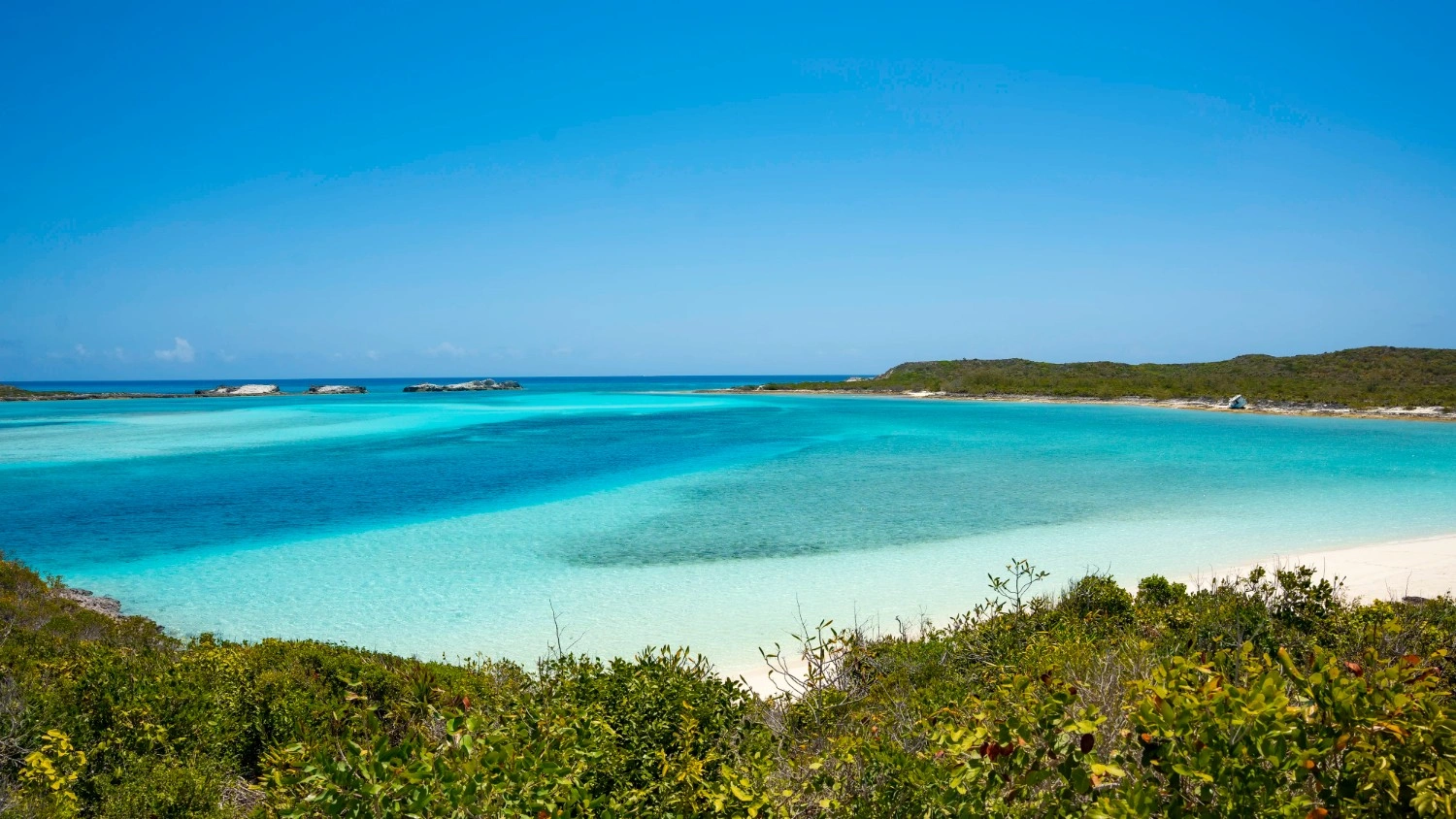 Clear turquoise ocean water meeting a white sandy beach with green shrubbery in the foreground and a blue sky above.