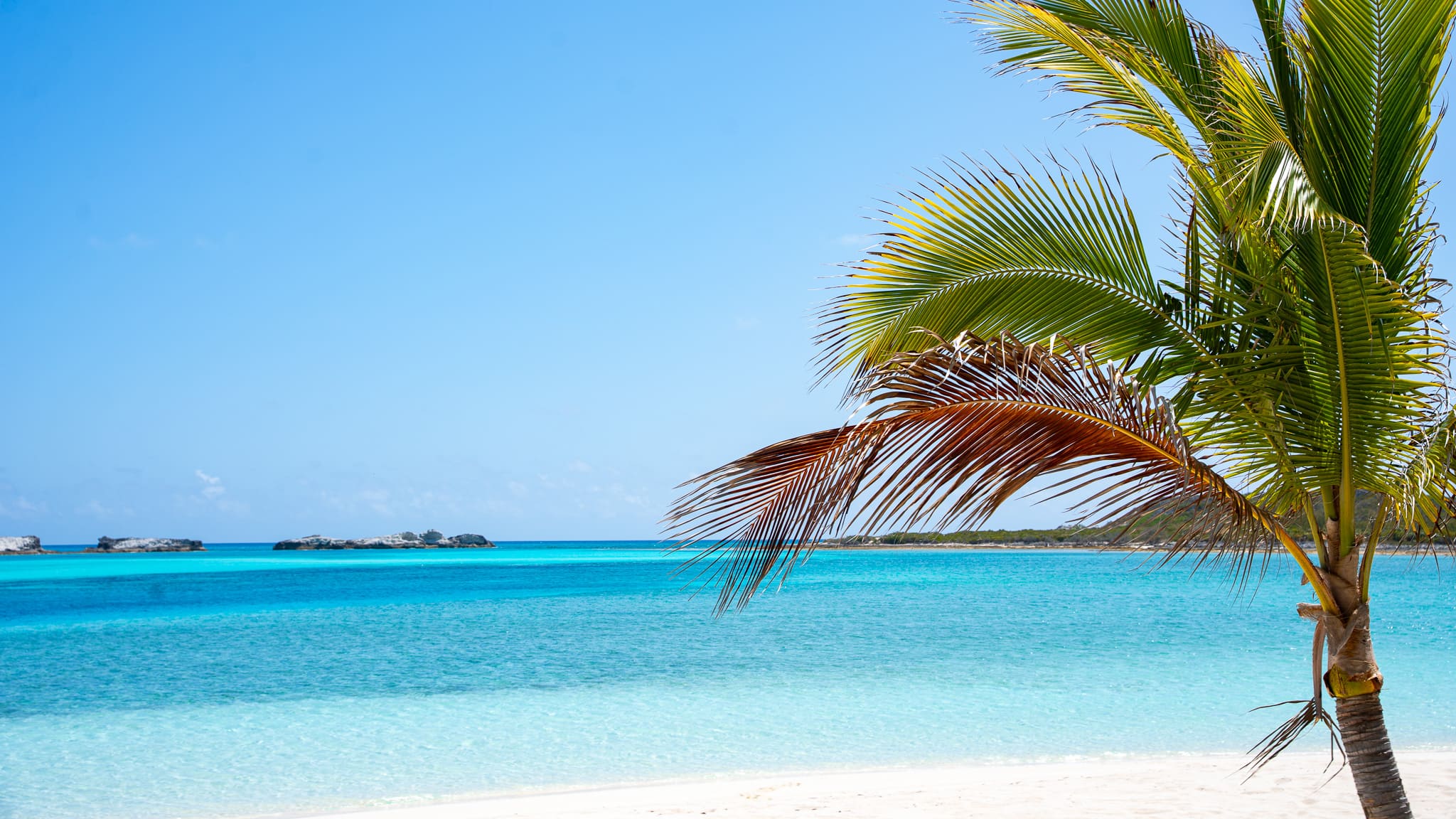 Clear turquoise sea with small rocky islands in the distance under a bright blue sky, framed by a palm tree with green and brown fronds on a white sandy beach.