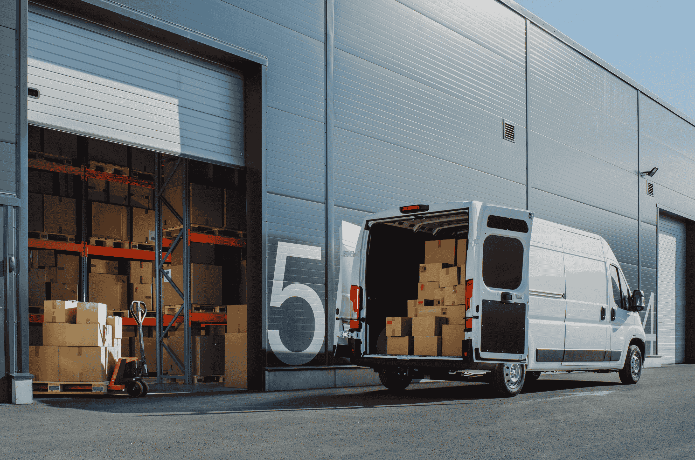 Carrier Disruption: How Multi Carrier Shipping Software Ensures Reliable Deliveries