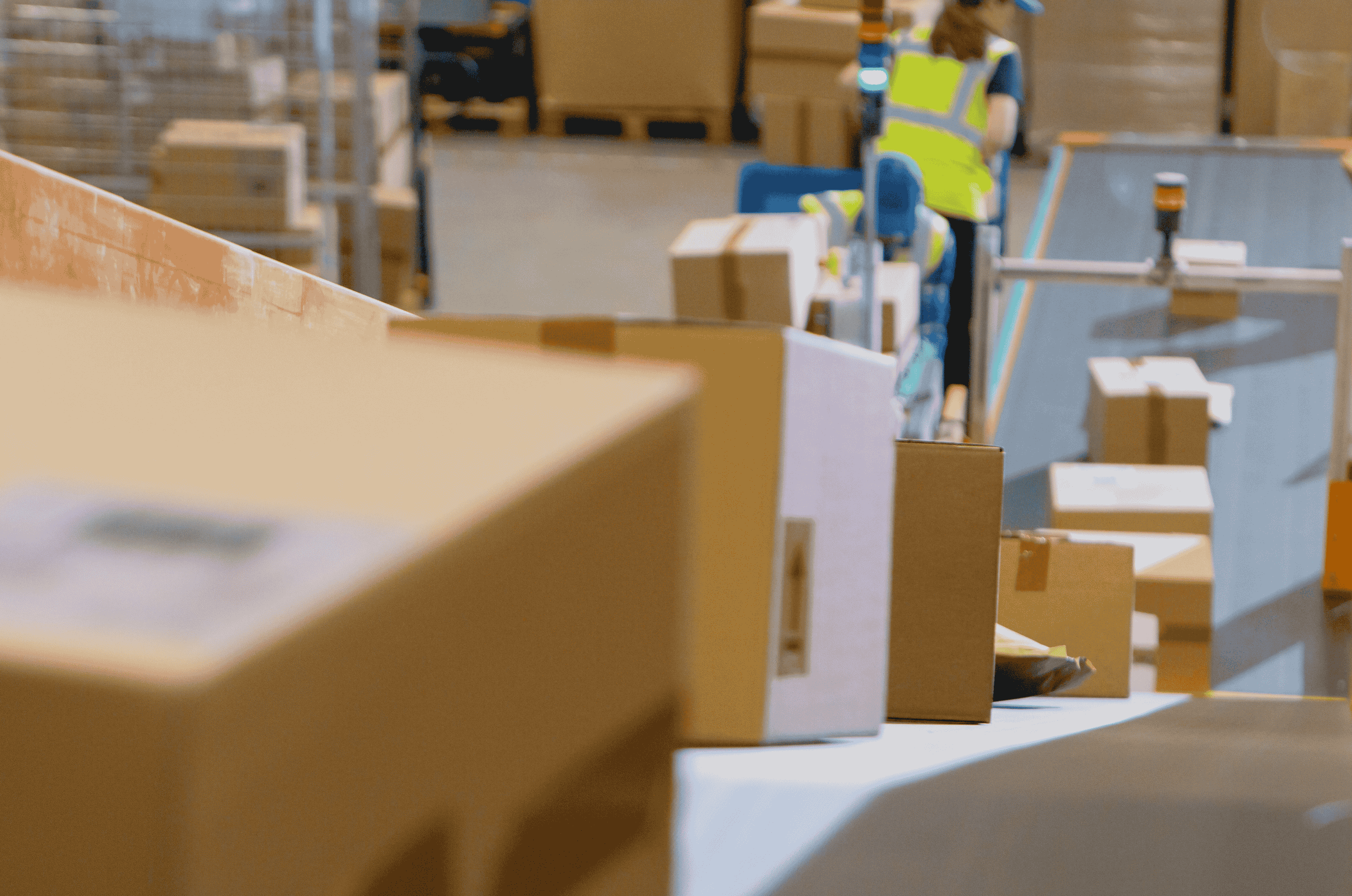 This Week in Shipping News: Nov 24, 2025