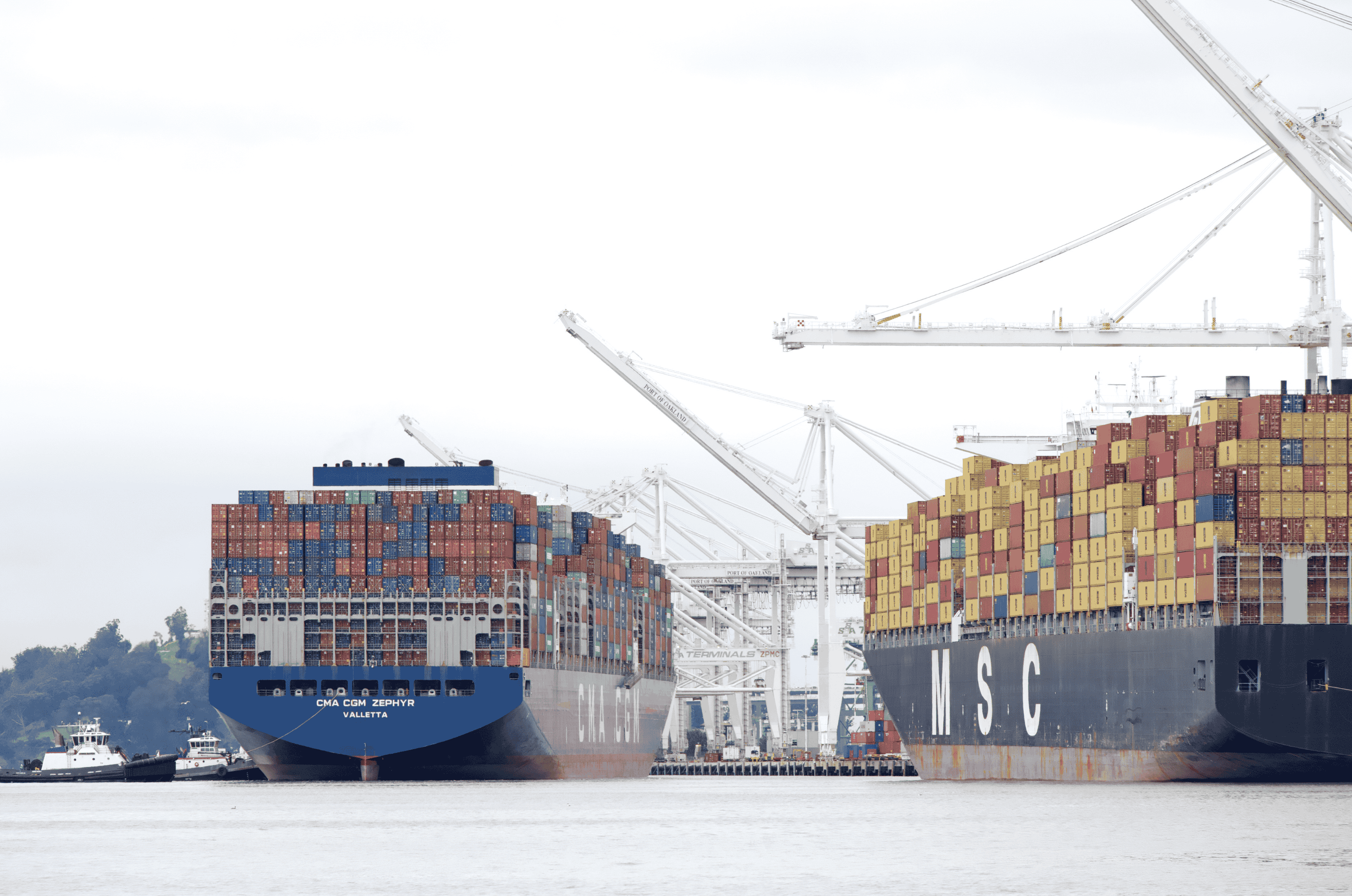 This Week in Shipping: Feb 16, 2026