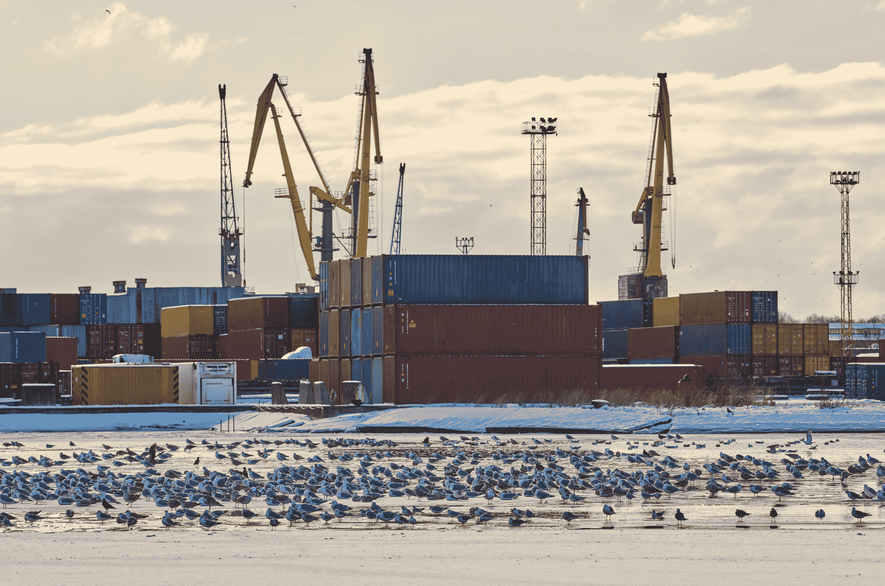 This Week in Shipping: May 25, 2026