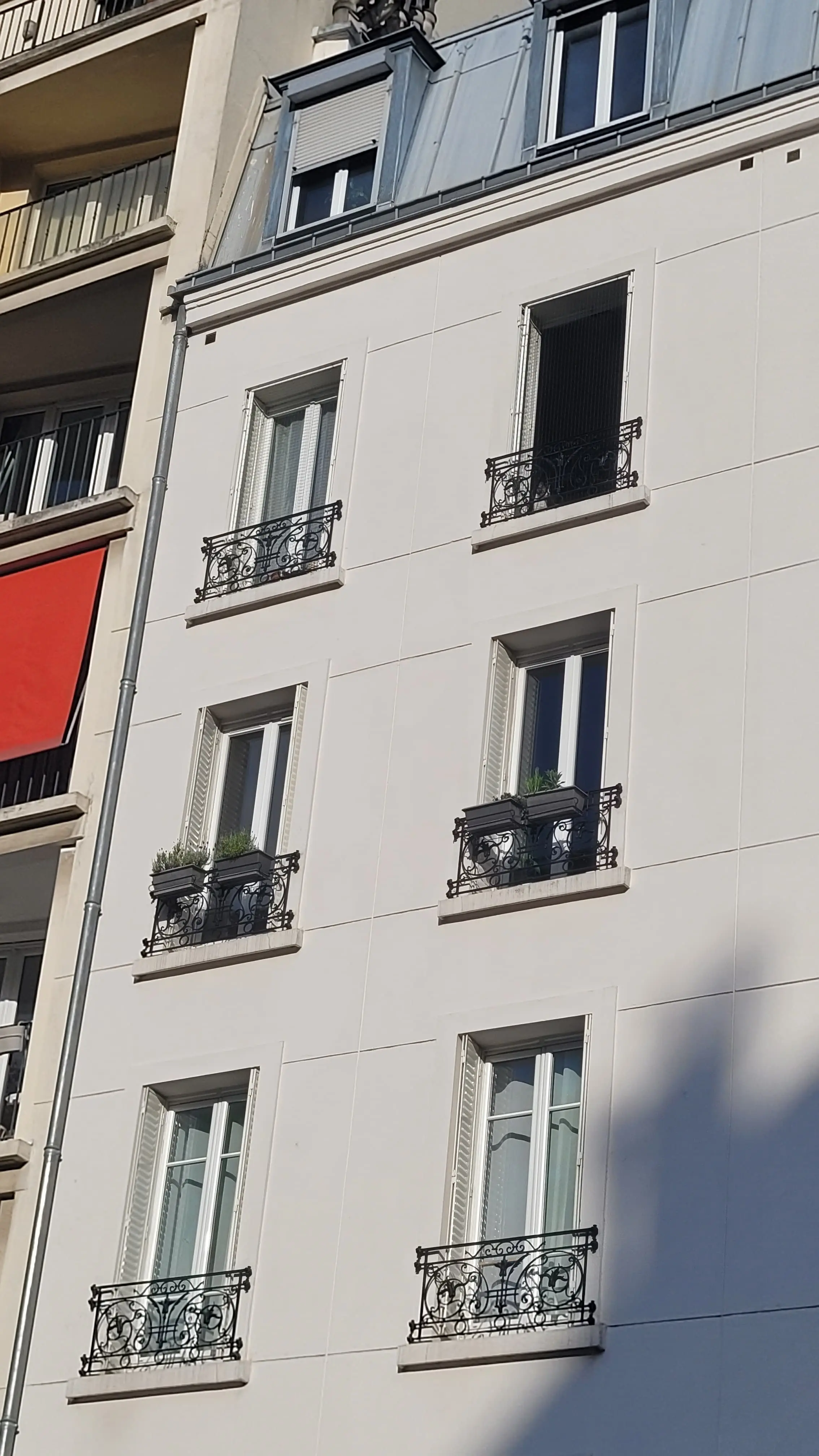 Installation d’un cadre de protection pour chat sur fenêtre