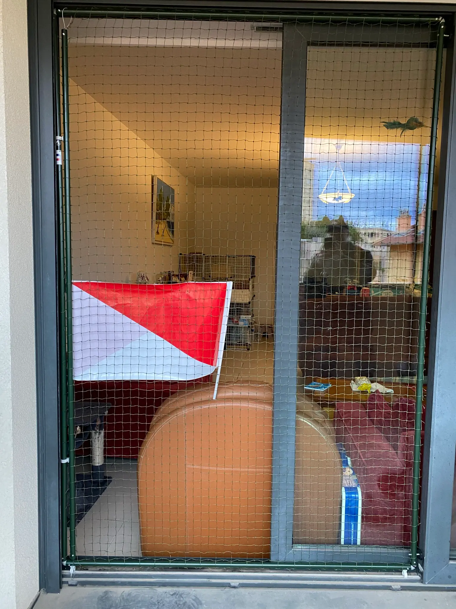 Cadre de protection pour chat fixé sur une baie vitrée coulissante