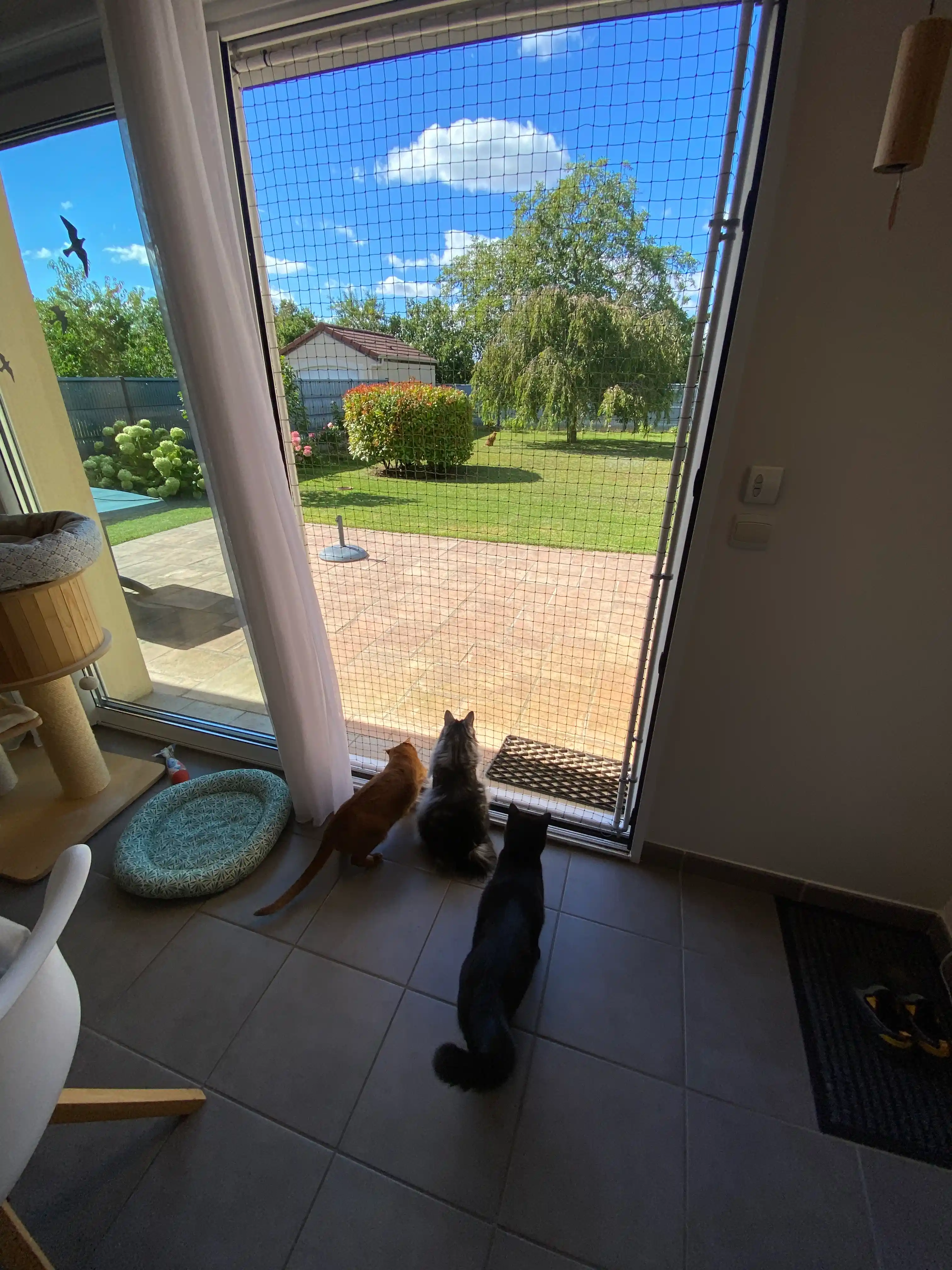 Filet de protection pour chat avec cadre sur baie vitrée d'une maison