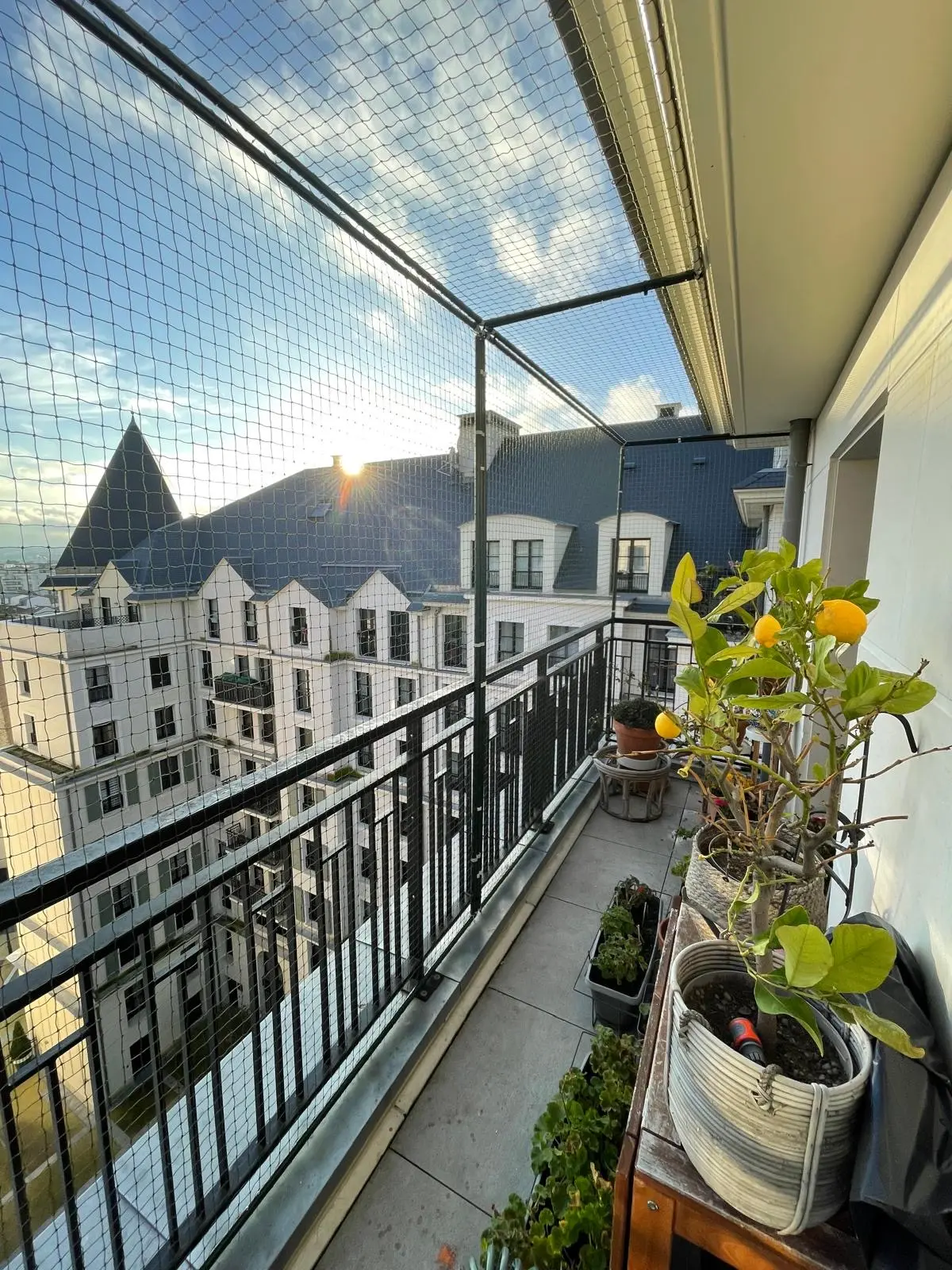 Chatterie de balcon fixée à la rambarde avec filet de protection pour chat