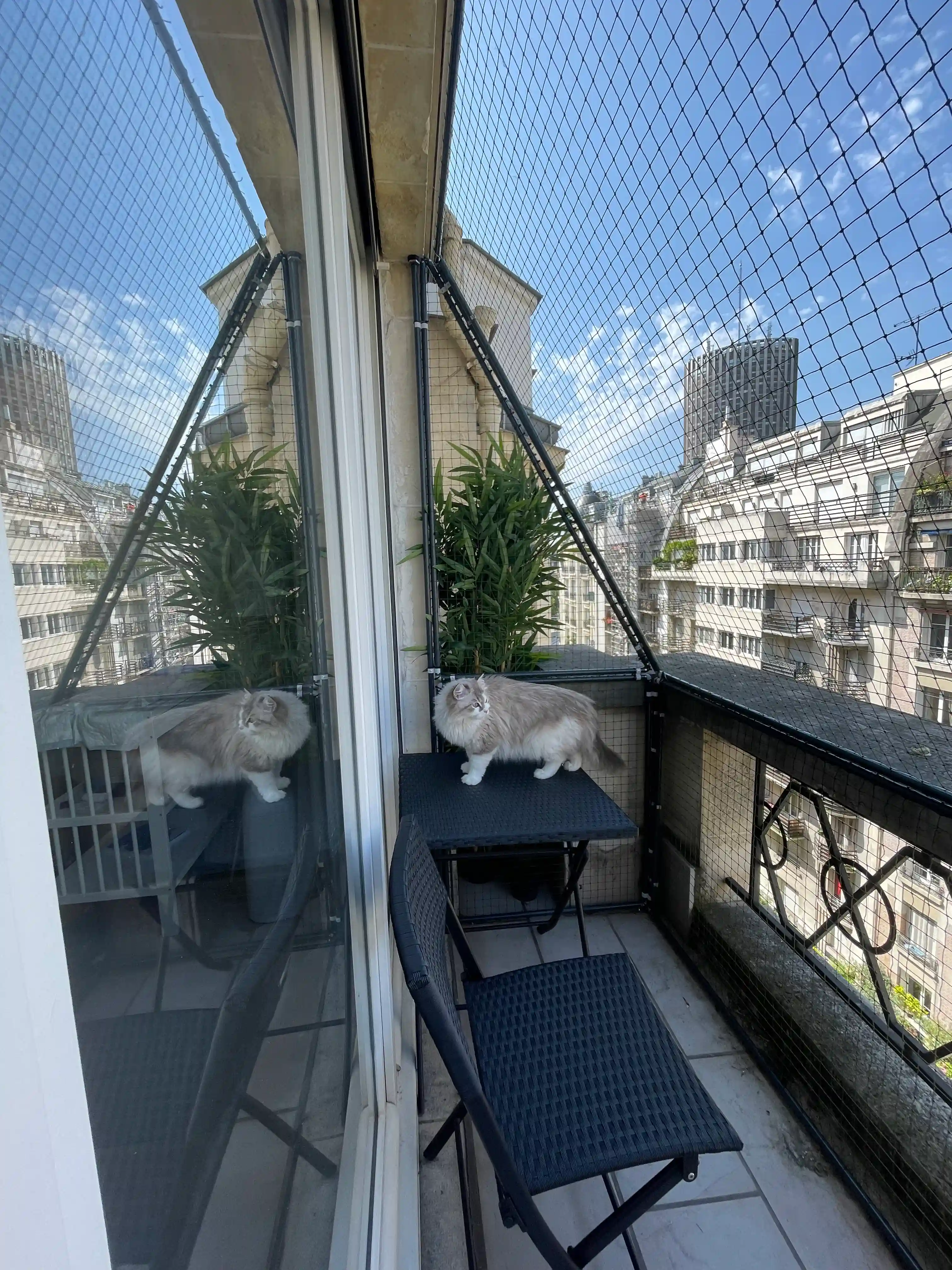 Installation sur mesure de cadre avec filet de protection pour balcon