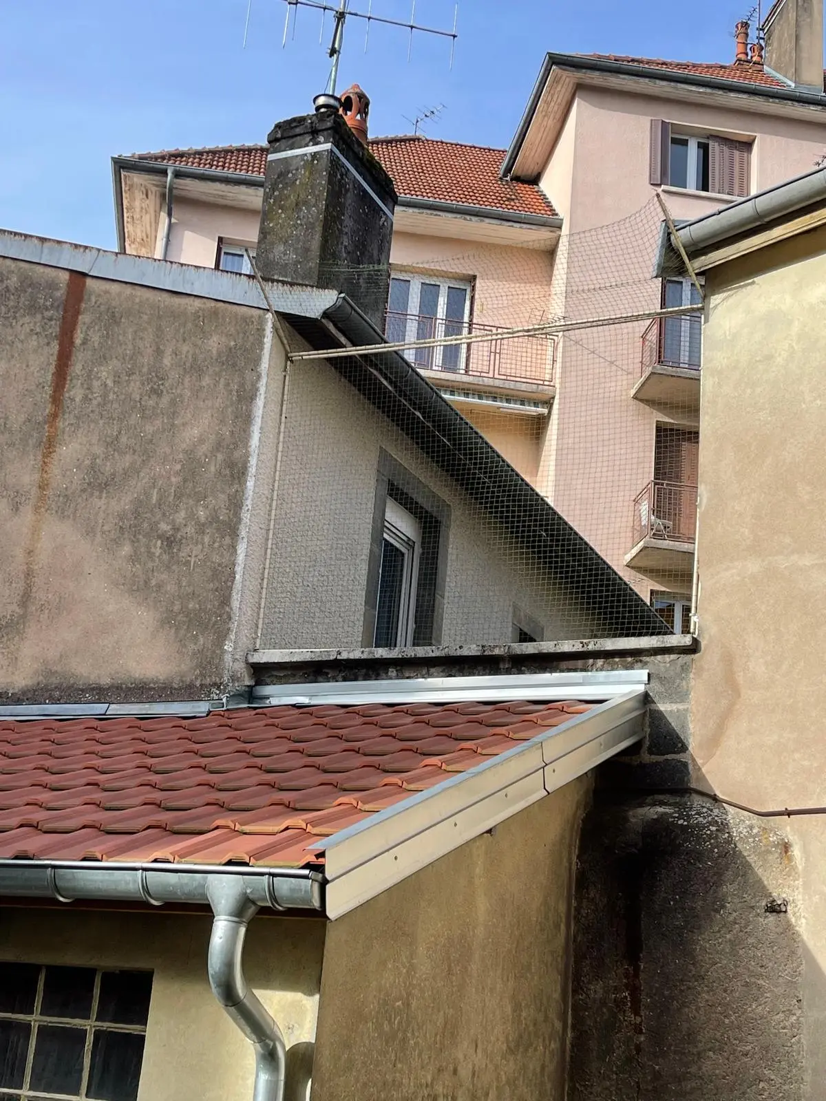 Toit sécurisé avec cadre aluminium sur mesure et bavolet de protection pour chat