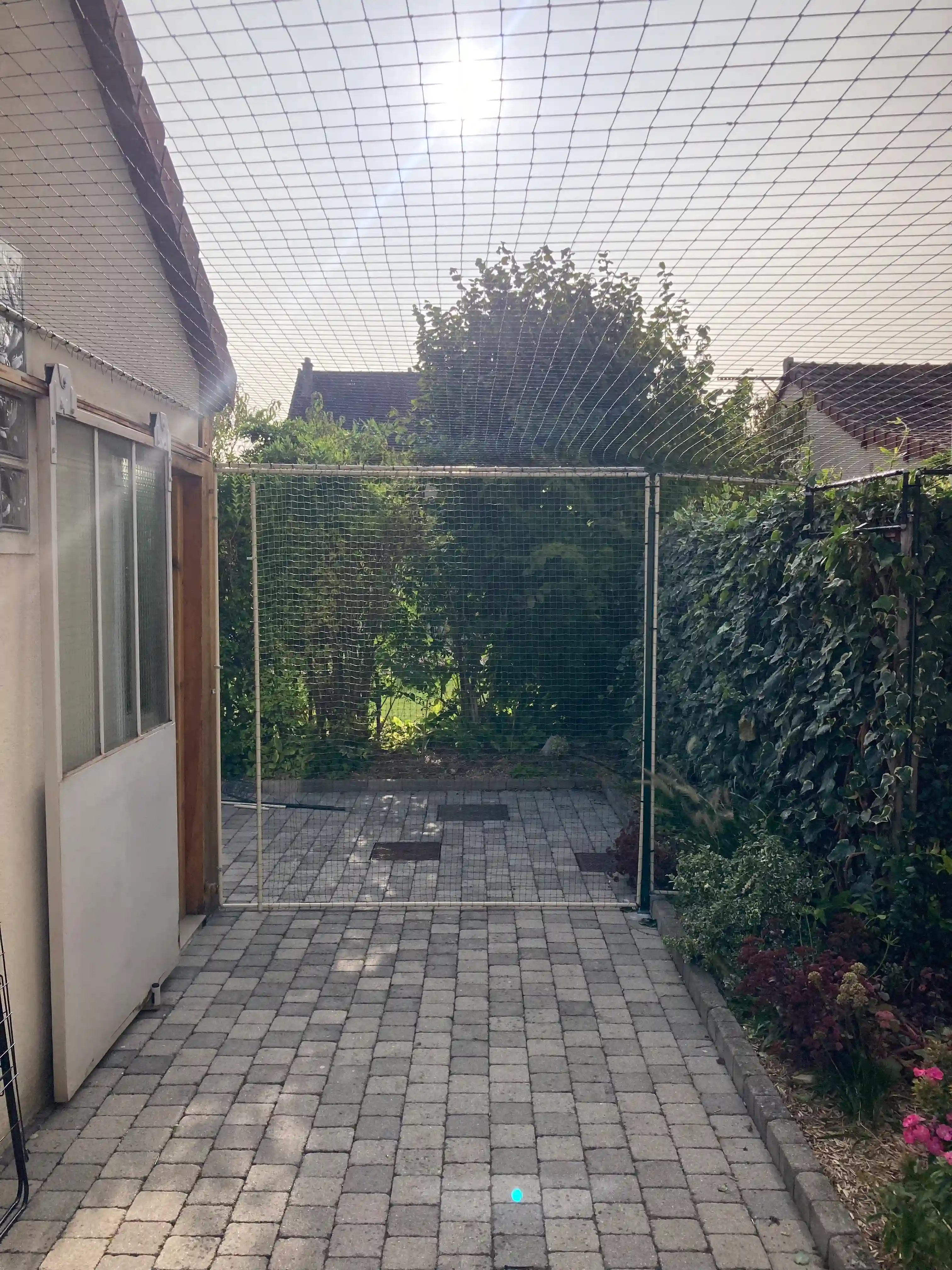 Filet aérien installé dans un jardin pour empêcher un chat de s’échapper