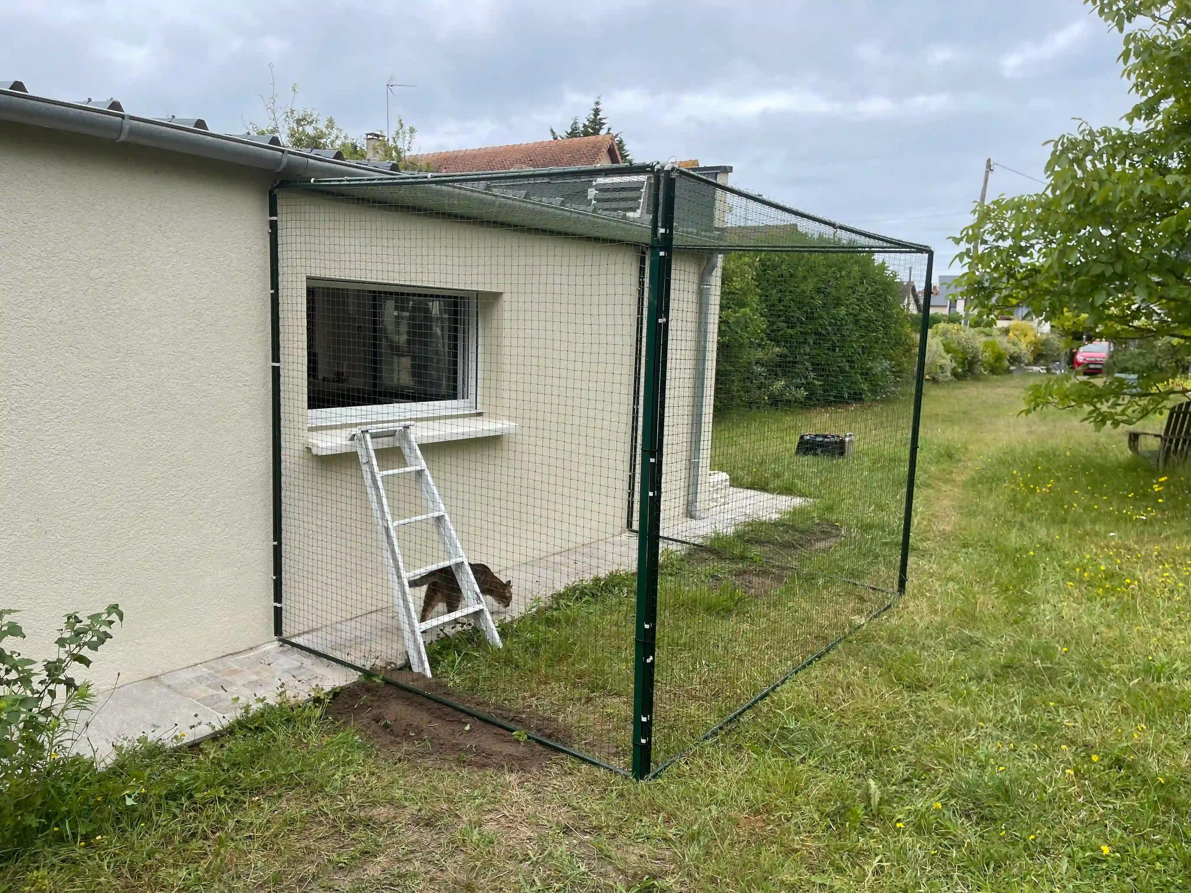 Catio de jardin permettant au chat de profiter de l’extérieur en sécurité