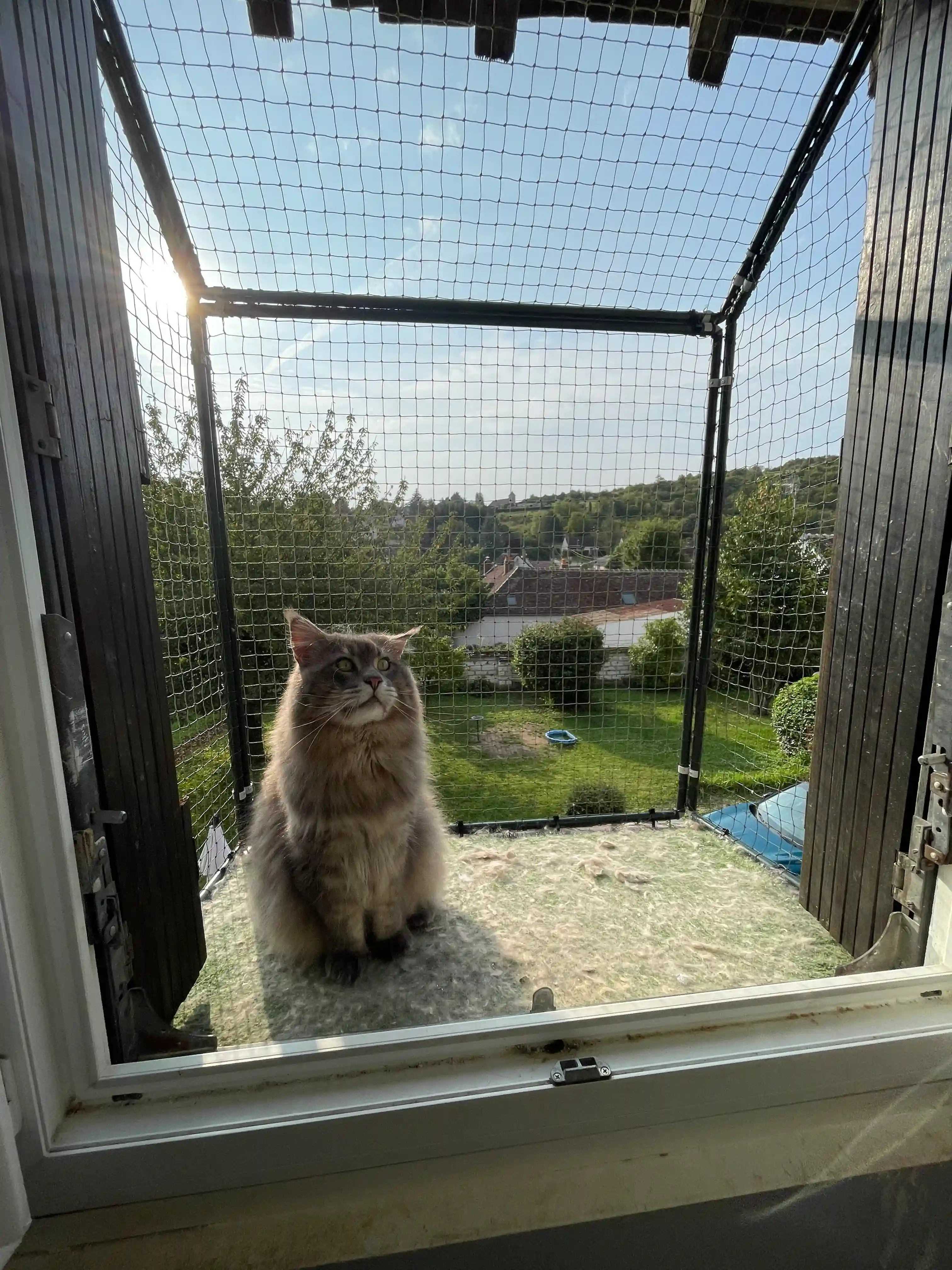 Enclos de fenêtre pour chat avec cadre aluminium et filet de protection