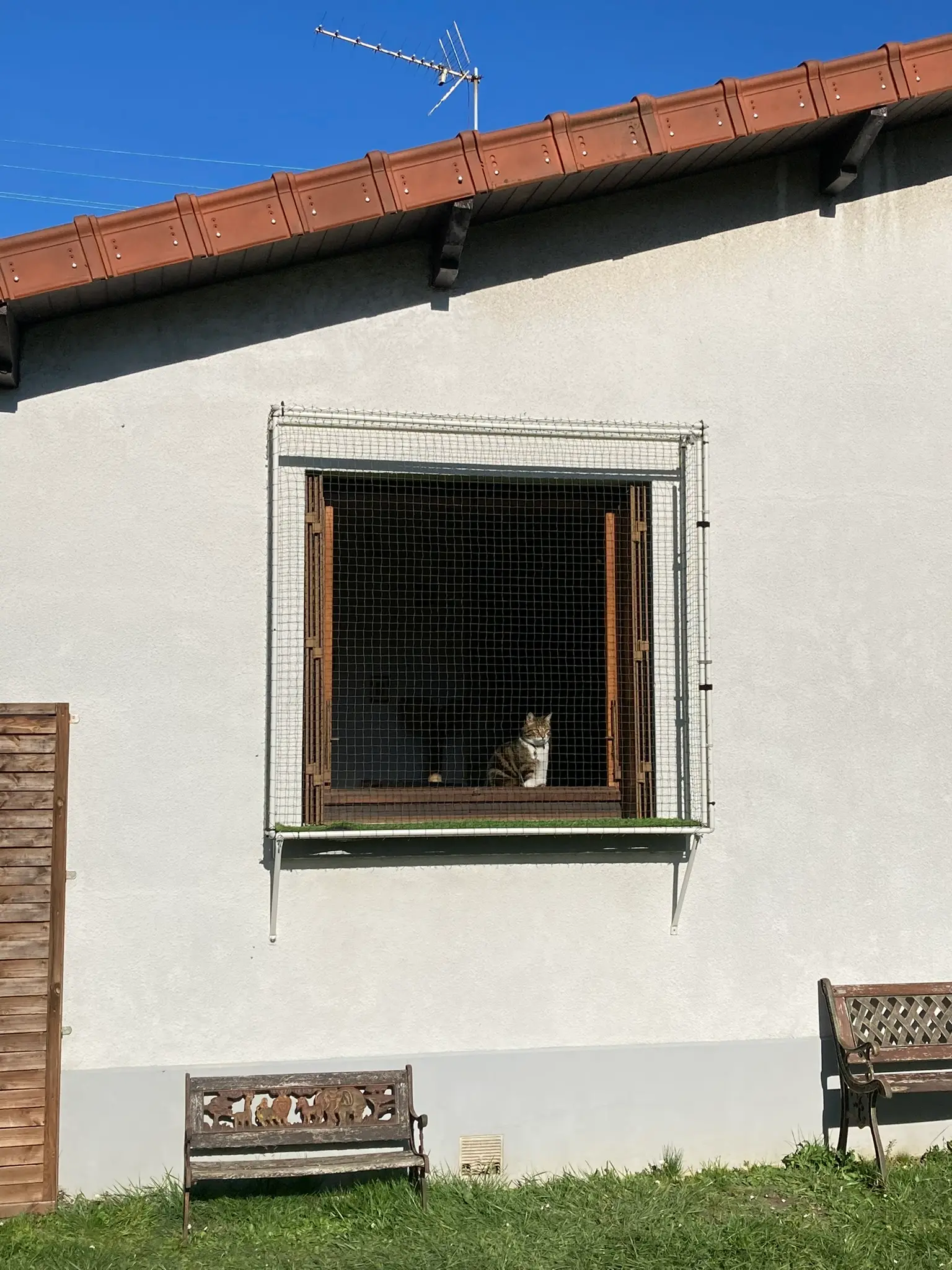 Catio de fenêtre installé à l’extérieur pour permettre au chat de prendre l’air