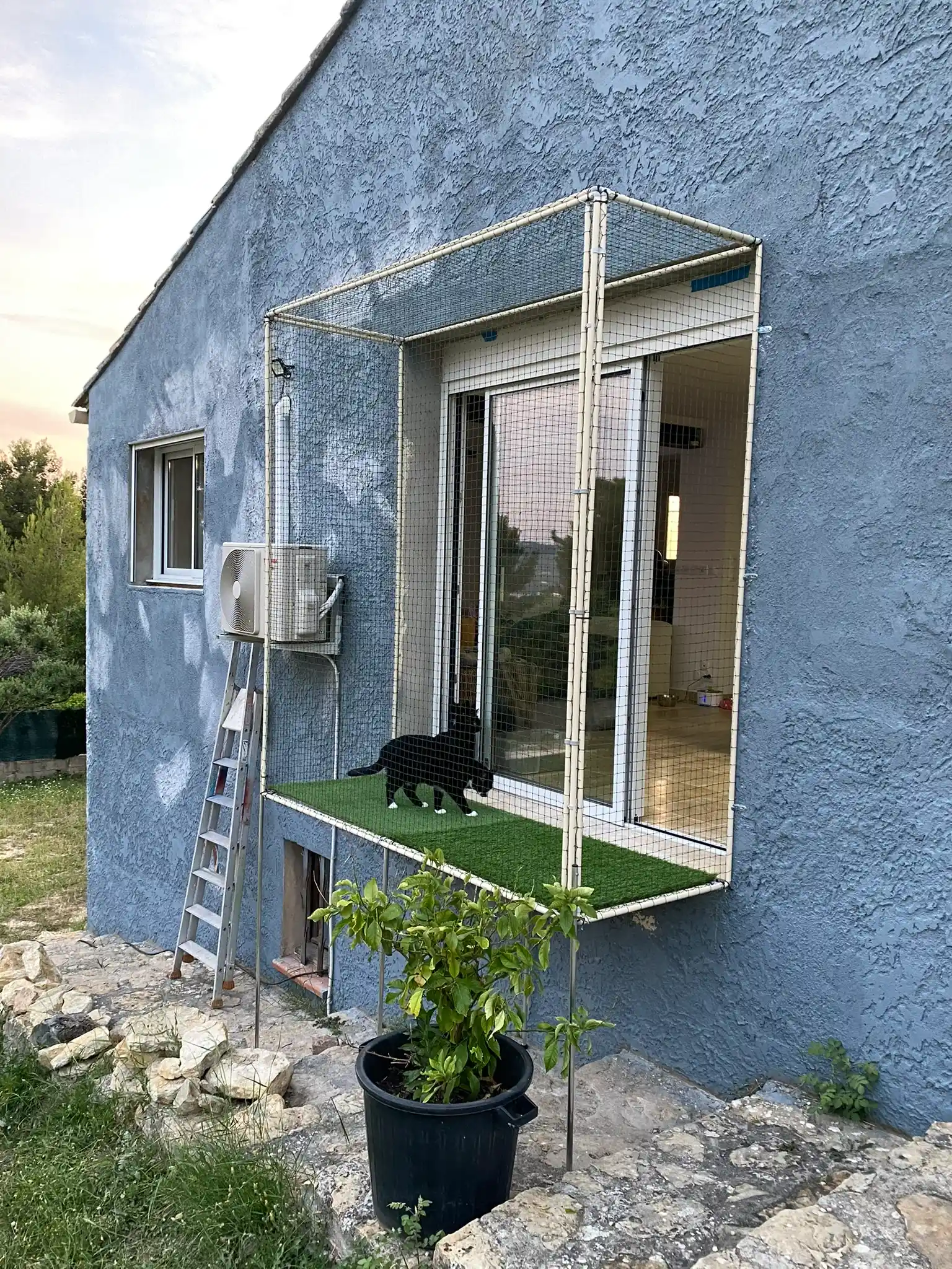 Chatterie fixée à une fenêtre pour offrir un petit espace extérieur au chat