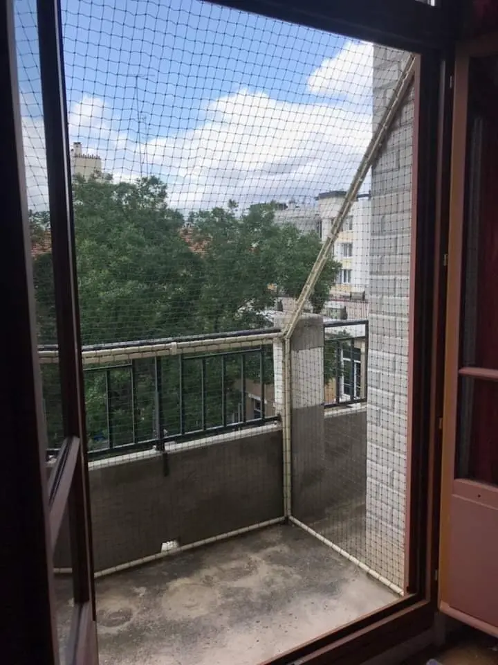 Catio de balcon pour chat dans un appartement