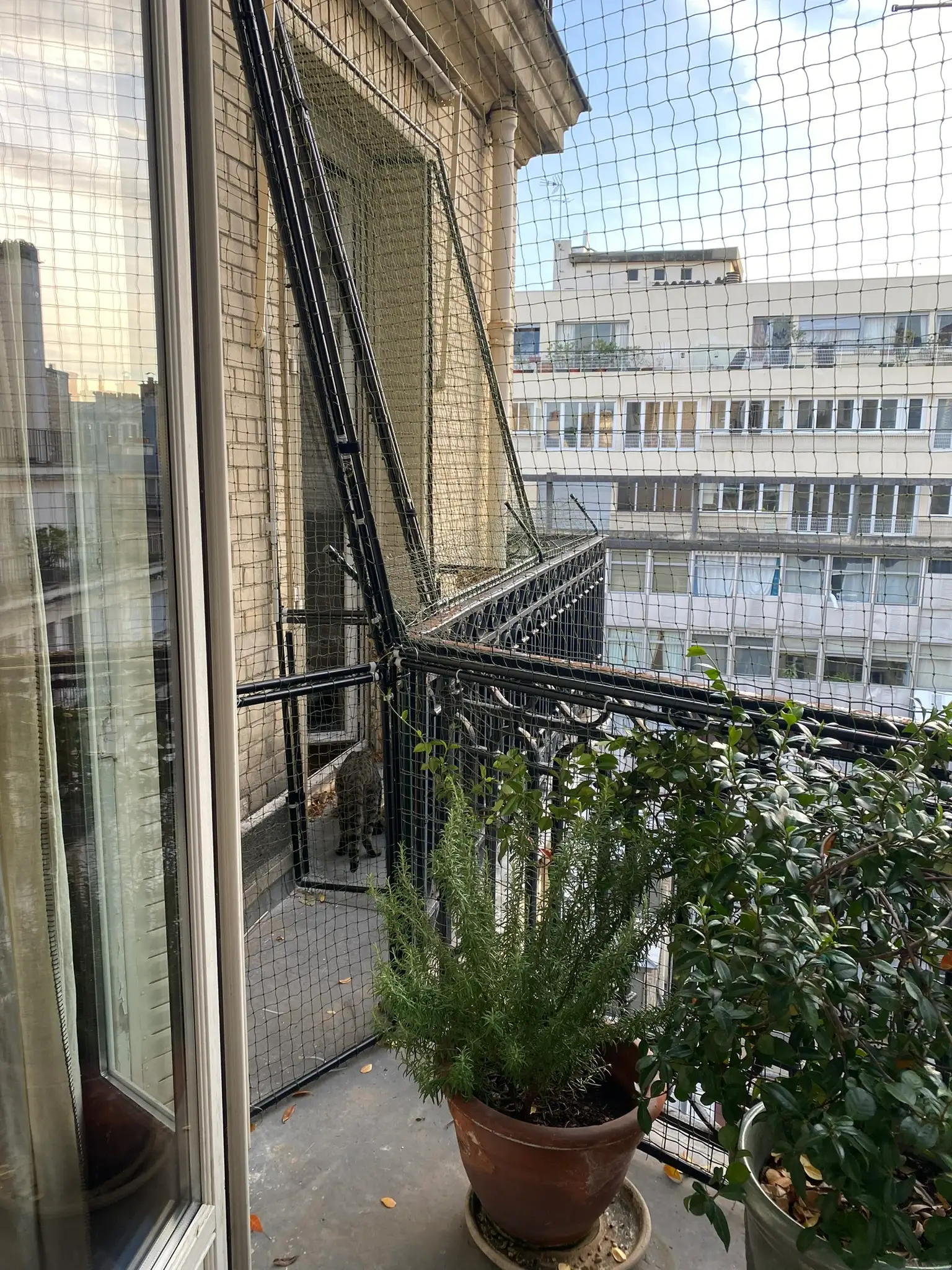 Chatterie installée sur la rambarde d’un balcon pour sécuriser un chat