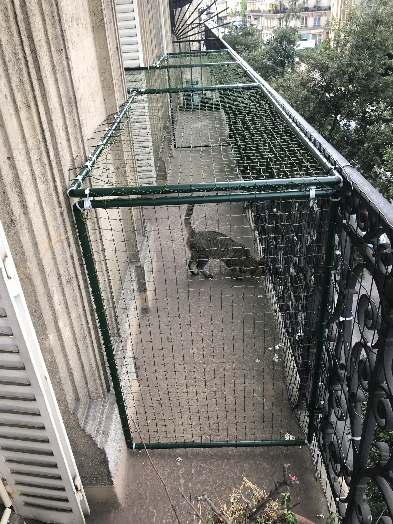 Catio sécurisé installé sur un balcon pour chat