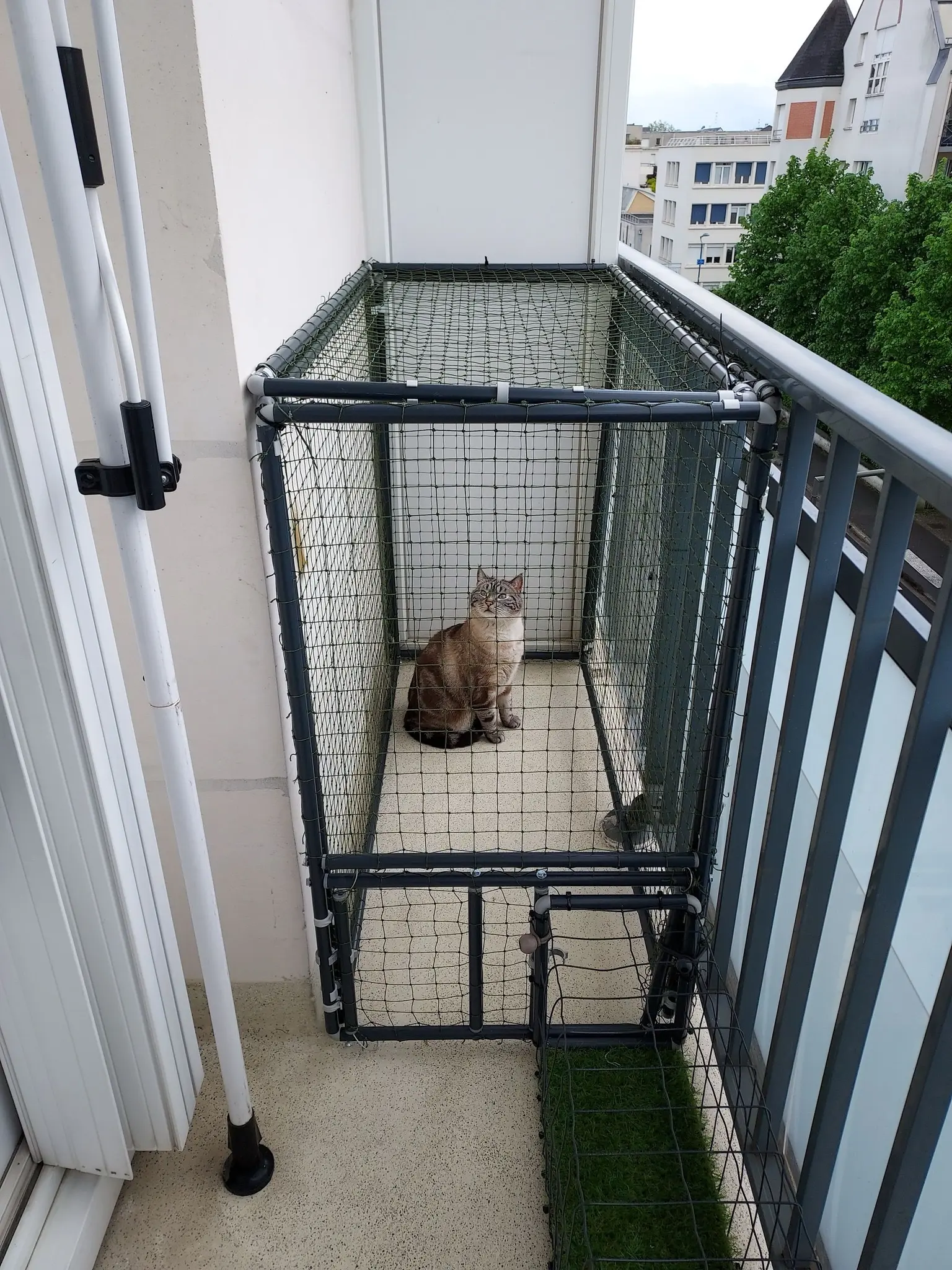 Catio de balcon avec filet extérieur pour chat