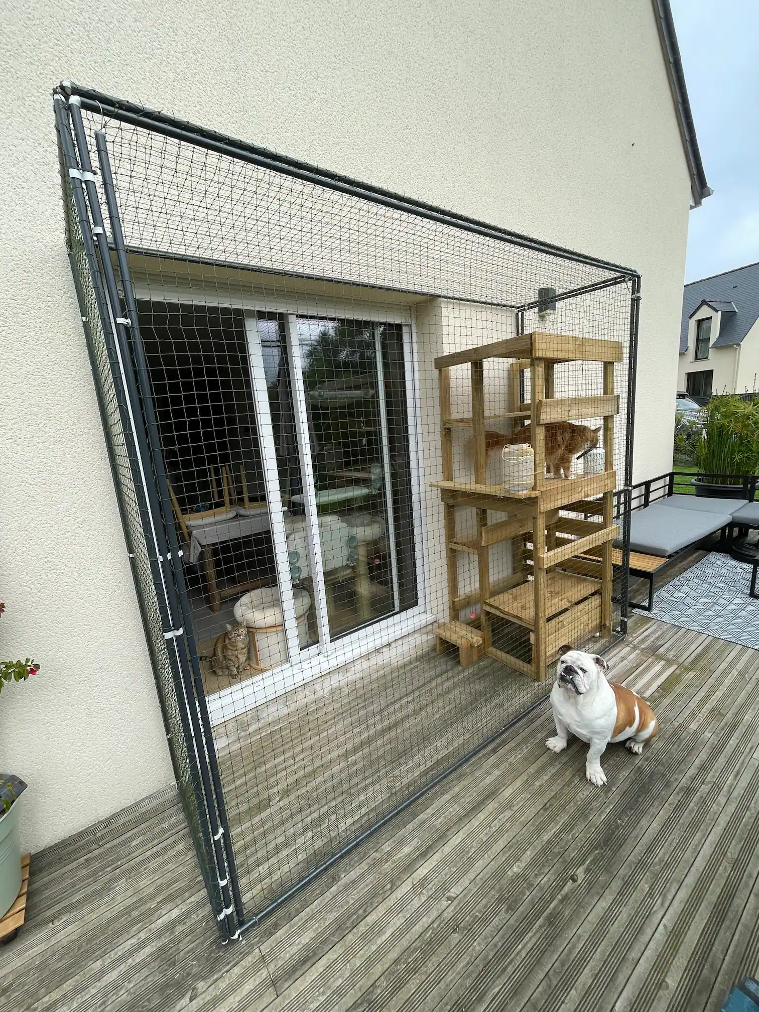 Catio de jardin avec cadre aluminium et filet sécurisé pour chat