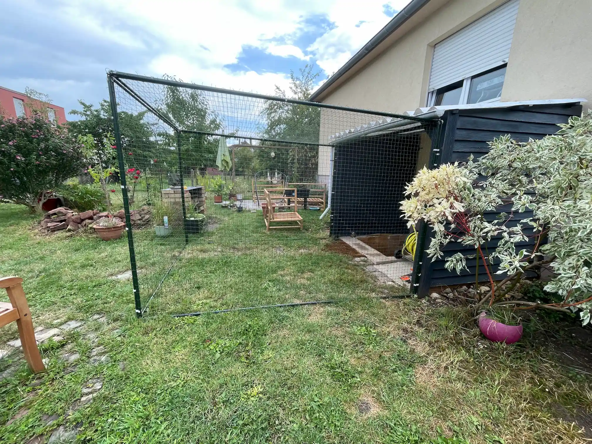 Espace extérieur sécurisé pour chat dans un jardin avec catio