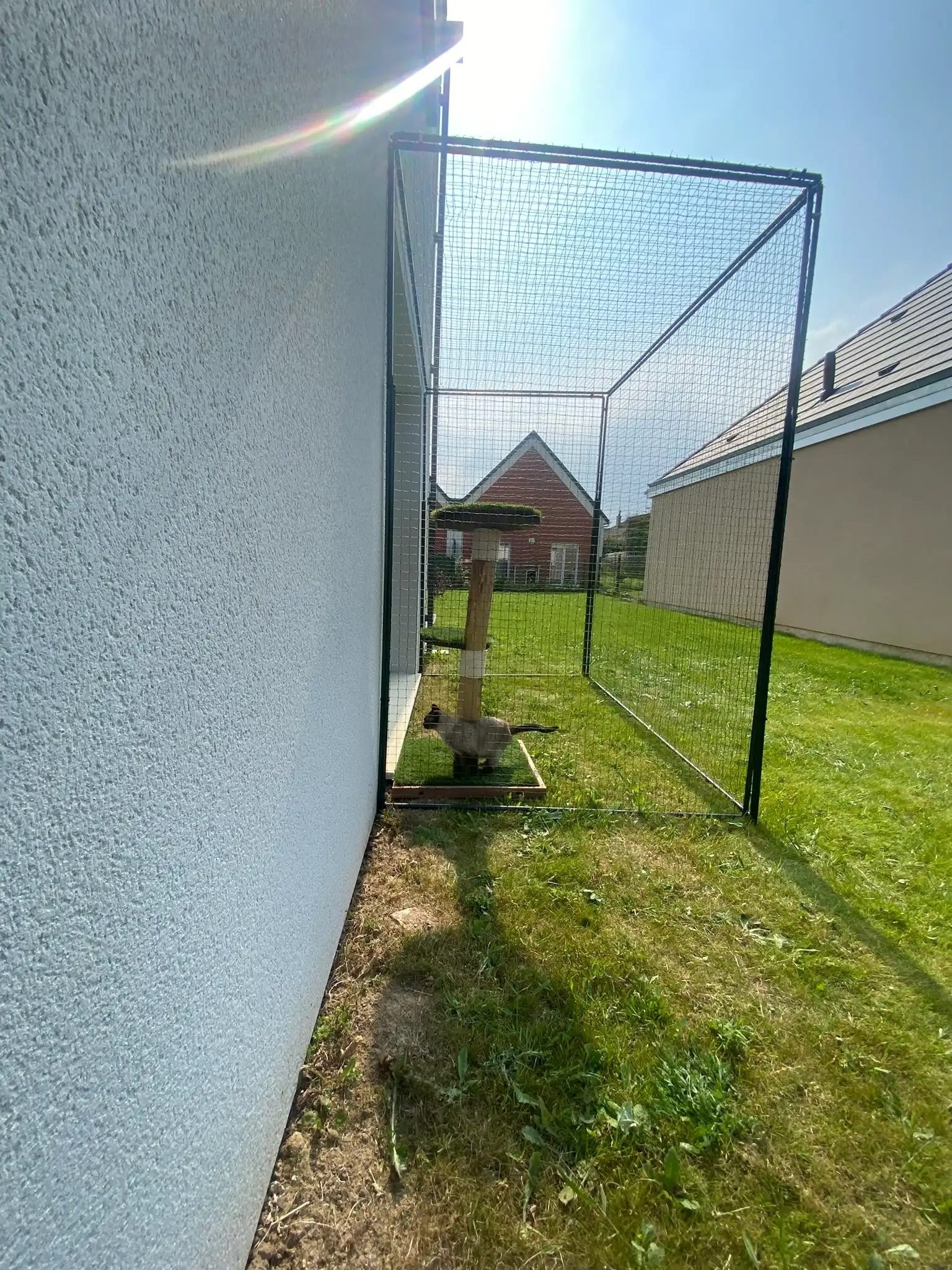 Enclos de jardin pour chat avec structure de catio