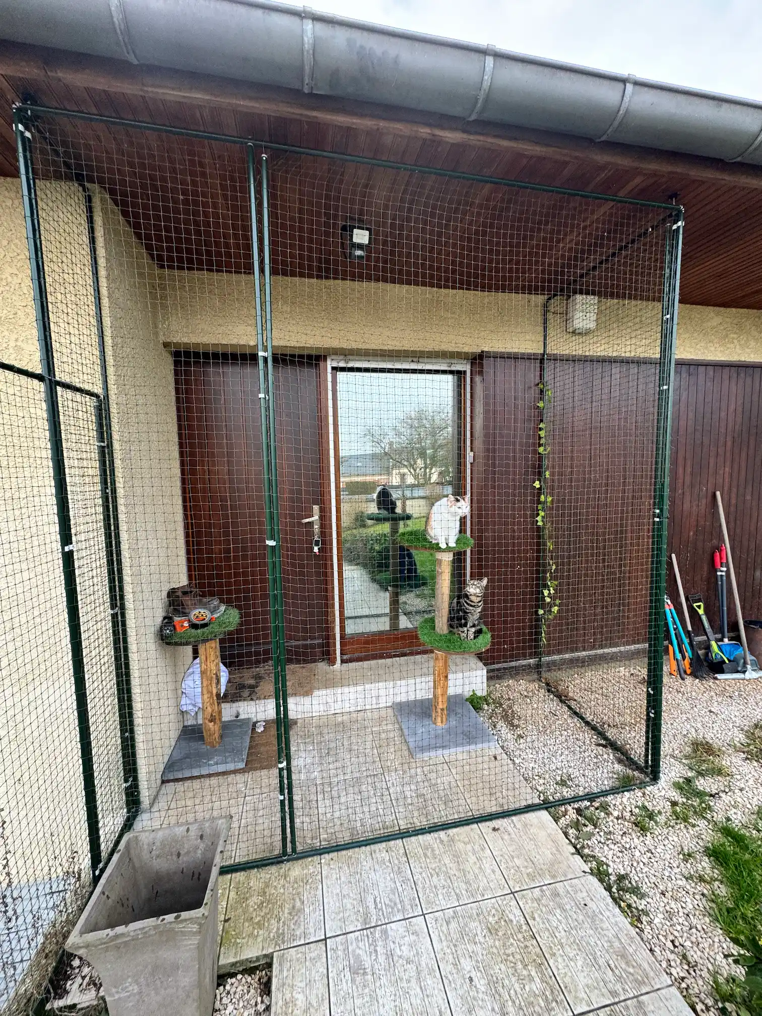 Catio installé dans un jardin pour permettre au chat d’observer l’extérieur 9