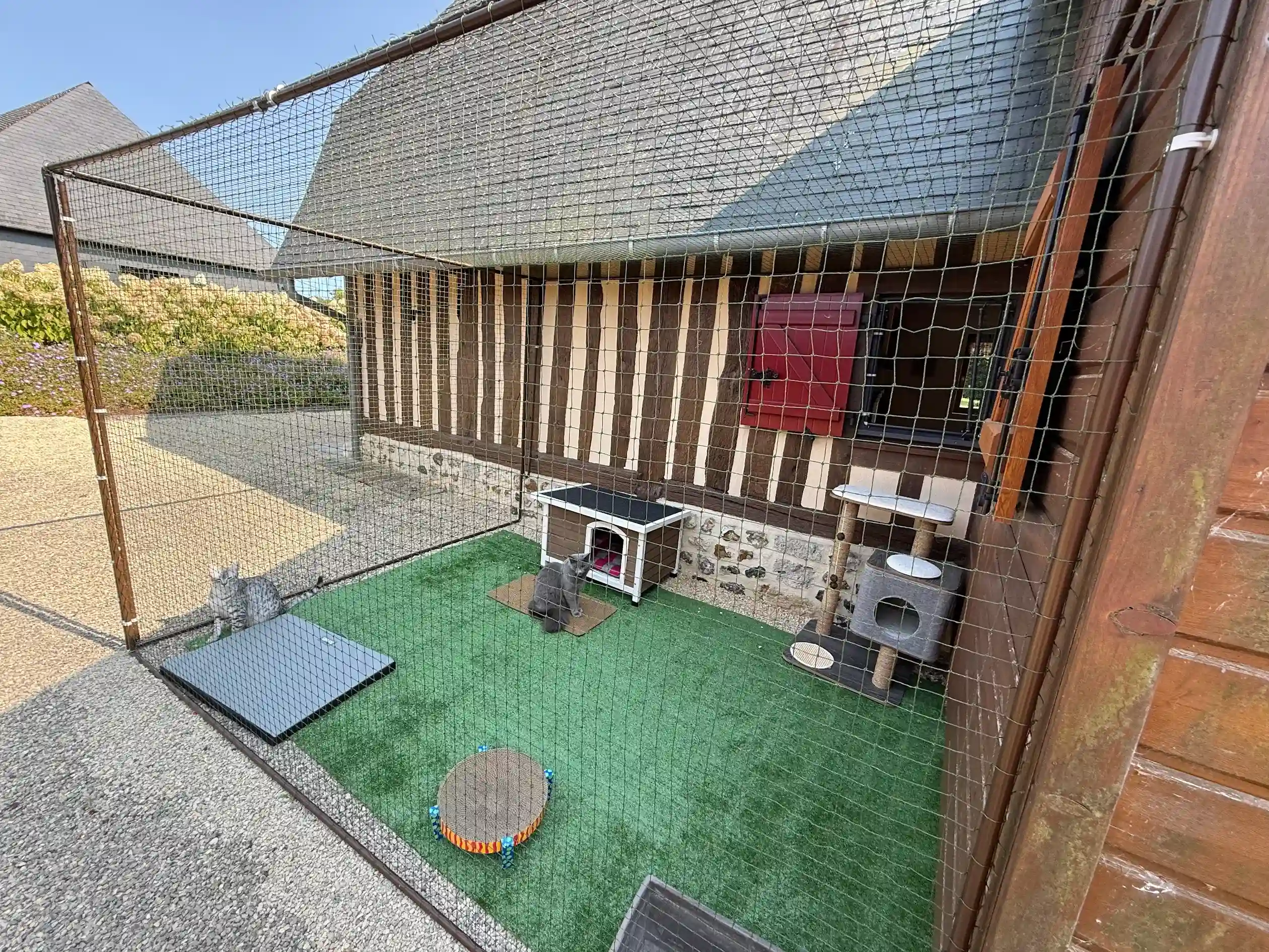 Catio de jardin sur mesure pour sécuriser un espace extérieur pour chat