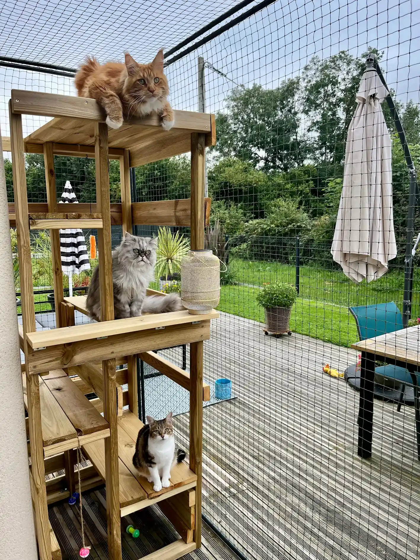 Catio extérieur pour chat installé dans un jardin avec filet