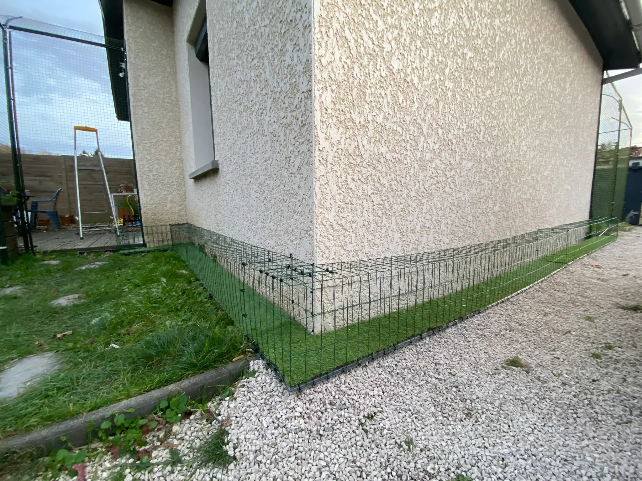 Tunnel extérieur installé dans un jardin pour permettre au chat de se déplacer