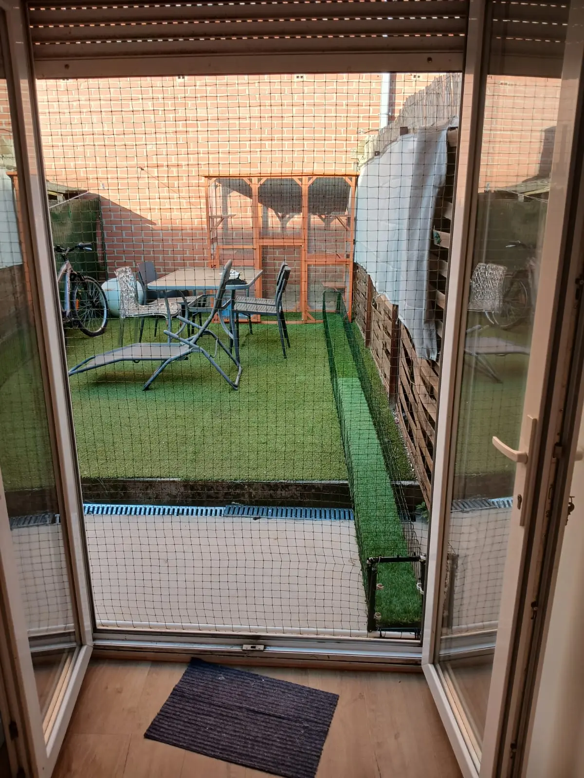 Tunnel pour chat dans un jardin avec structure et filet